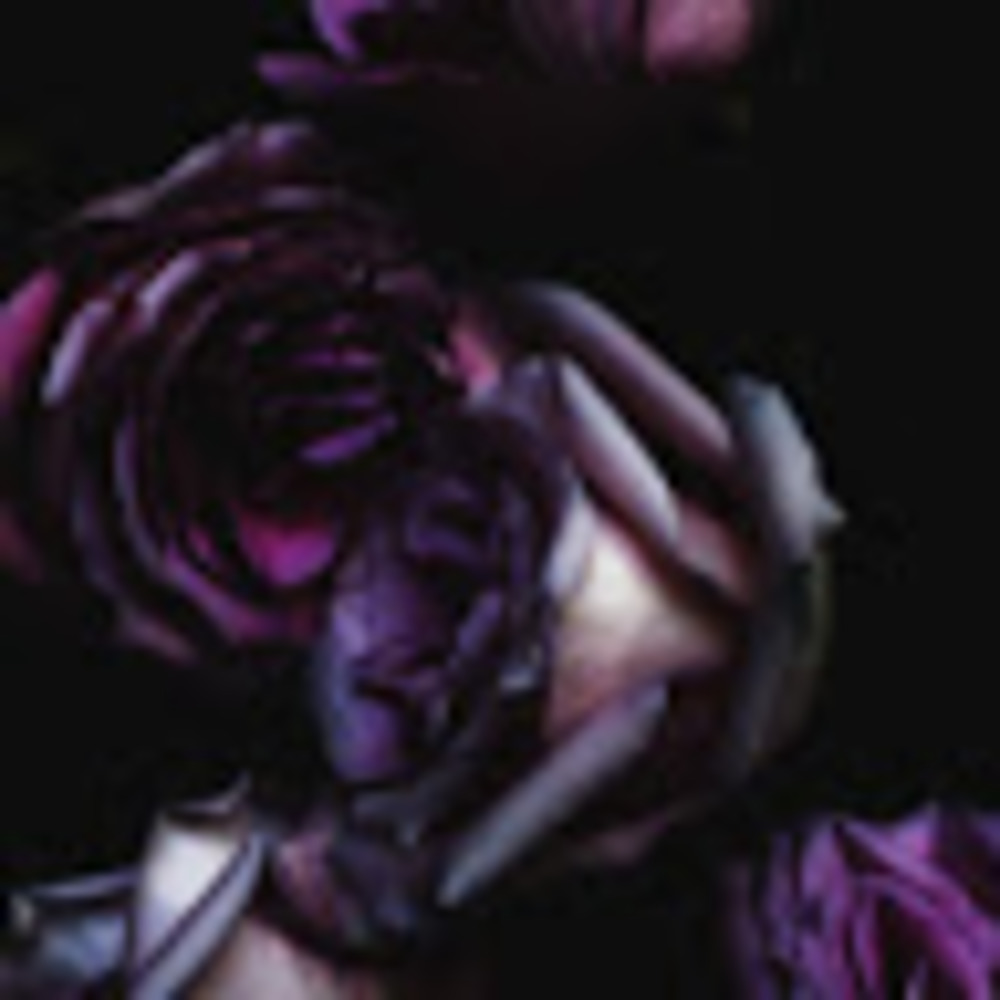 Meet your Posher, Melissa